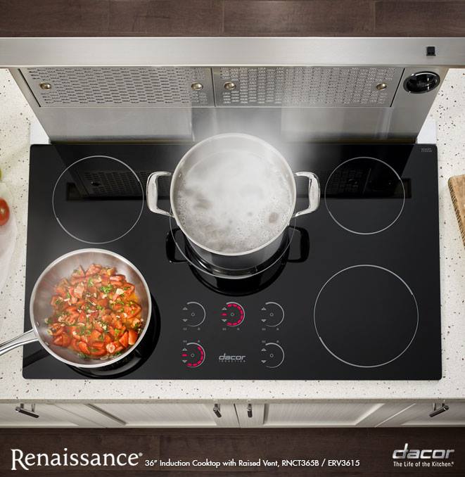 Monark Premium Appliance Co Dacor Renaissance Induction