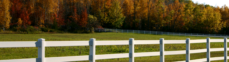 Ranch Rail Style Vinyl