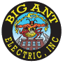 Big Ant Electric, Inc.