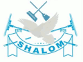 Shalom Cleaning Services Bethel LLC