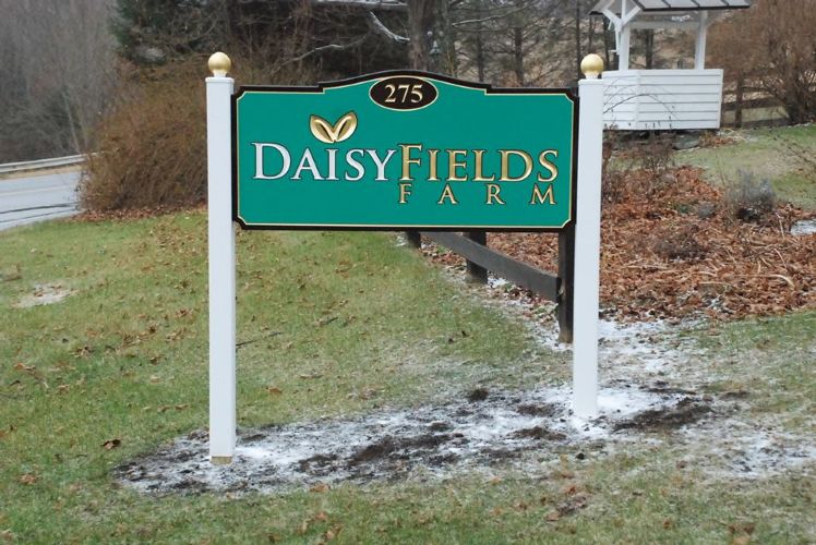 Daisy Field Farm by in Branchville, NJ ProView