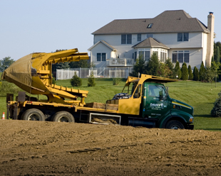 davey tree service tampa