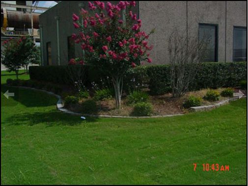 Commercial Landscaping